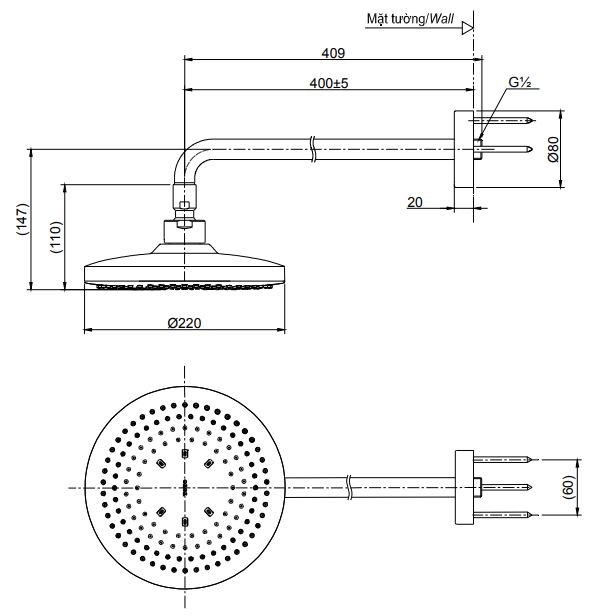 ban-ve-bat-sen-tam-gan-tuong-toto-tbw01003a Bản vẽ bát sen tắm TBW01003A TOTO gắn tường