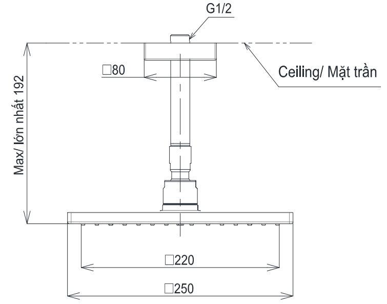 ban-ve-bat-sen-toto-tbw08002a1 Bản vẽ bát sen tắm TBW 08002A1 TOTO gắn trần 250 mm