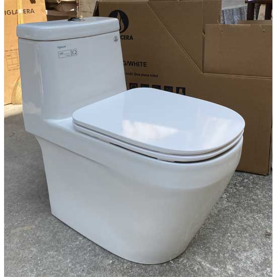 hinh-anh-thuc-te-bon-cau-ket-lien-1-khoi-viglacera-v68