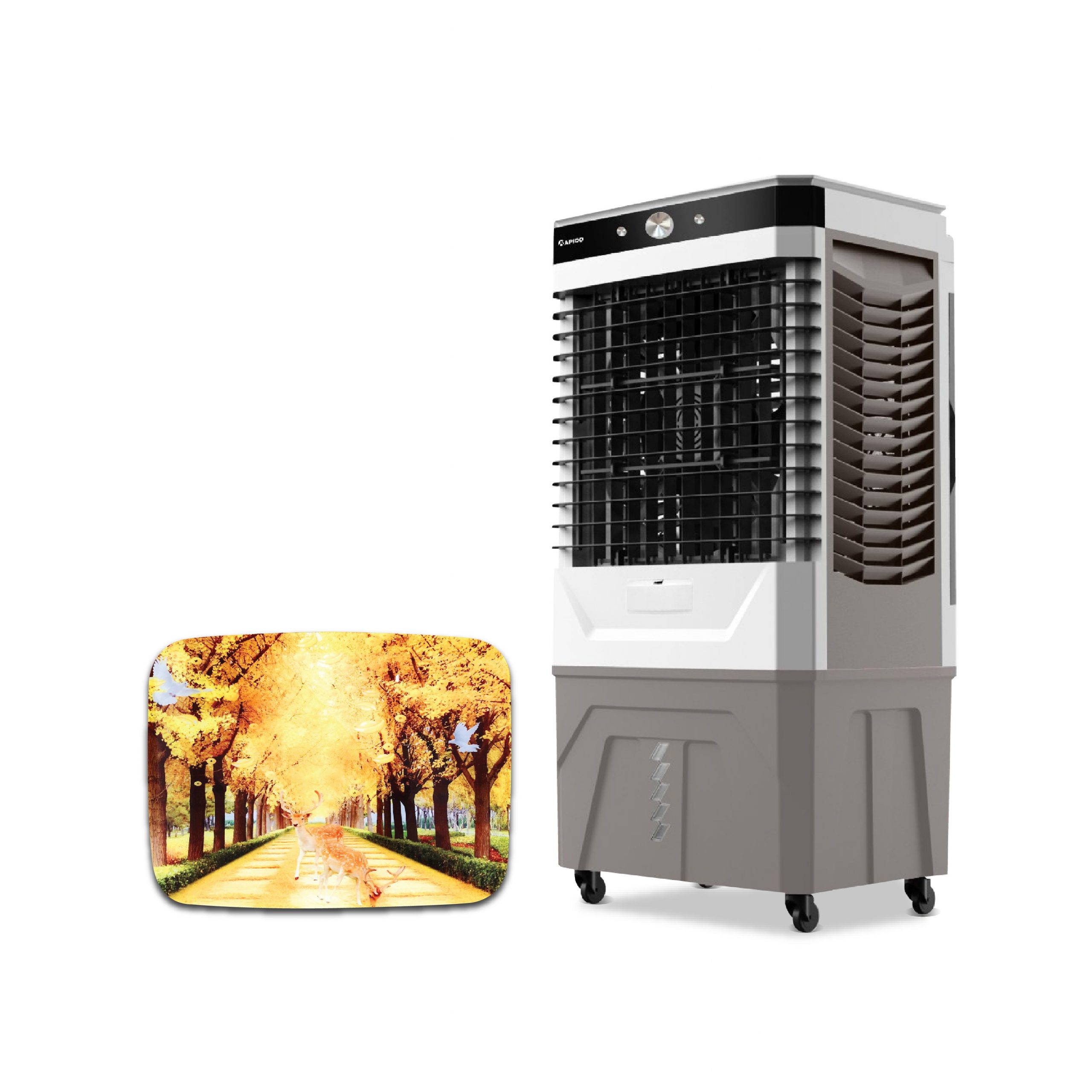 z2584119941568_8d06946265aa18f7f85369226e5d8b19-1-scaled-2